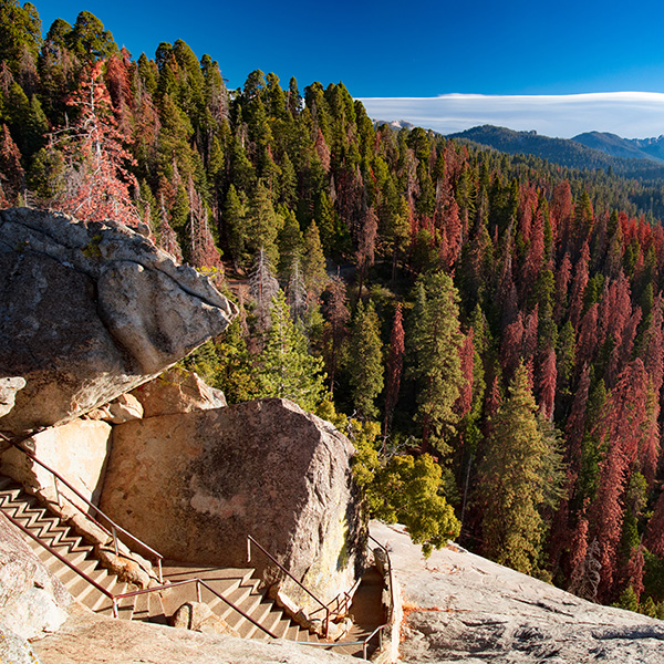 Why Choose the Mineral King Mountains for Your Next Vacation BB Image 2.jpg