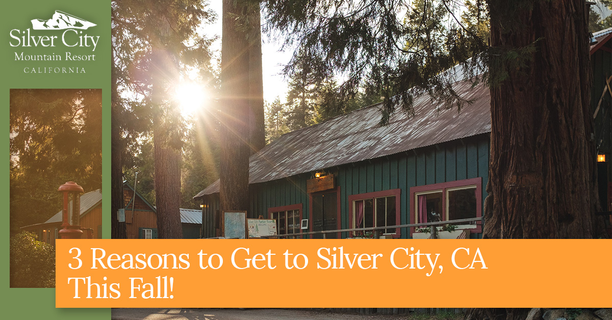 3 Reasons to Get to Silver City, CA This Fall!.jpg
