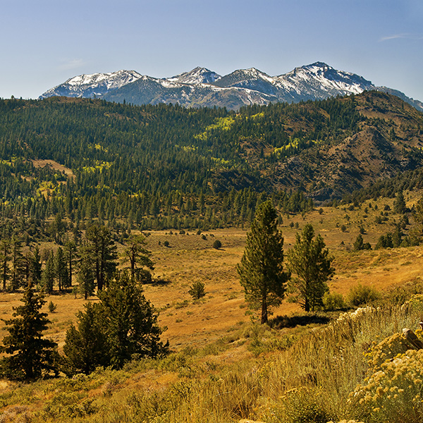 4 of the Best Views from Silver City Mountain Resort Cabins BB Image 1.jpg